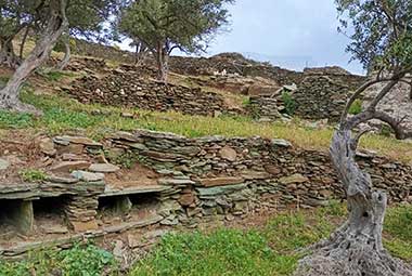 οι καλλιέργειες στην φάρμα Λουμίδη στη Σίφνο