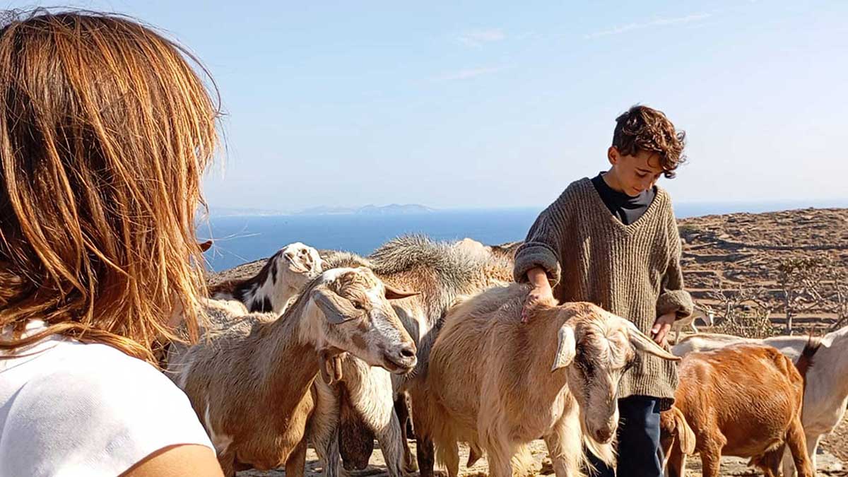 Παρέα με τις κατσίκες και θέα στην Αντίπαρο