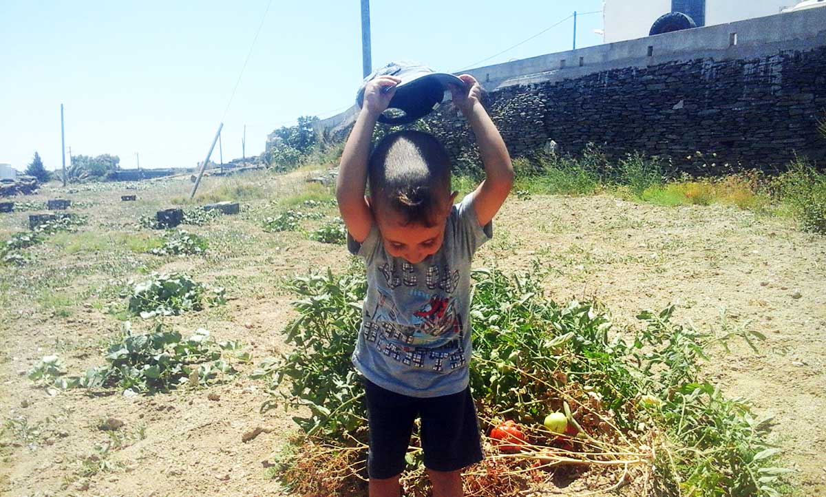 Ο Γιώργος στις ντοματιές