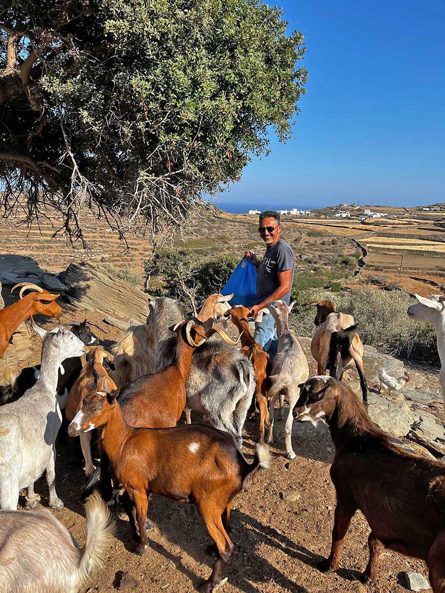 Η ώρα φαγητού έφτασε