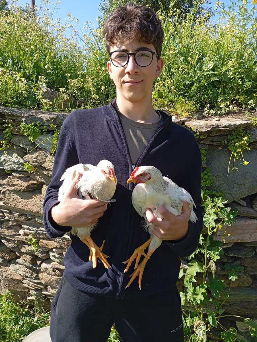 αγόρι κρατάει δύο κοτόπουλα