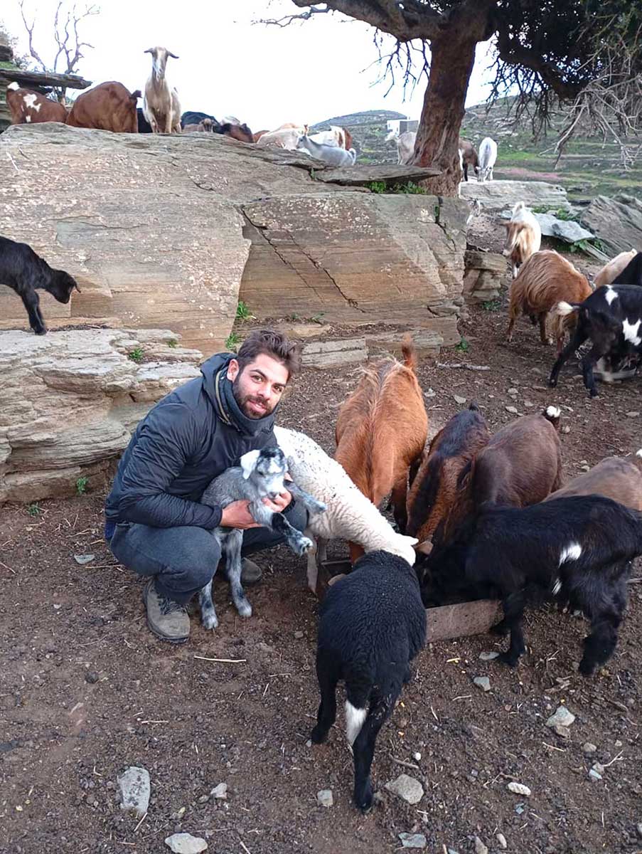 νέος κρατάει κατσικάκι ενώ άλλες κατσίκες και αρνιά τρώνε
