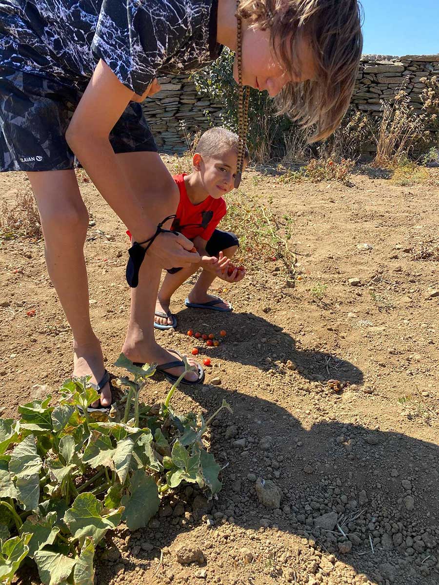 Τα τελευταία ντοματίνια