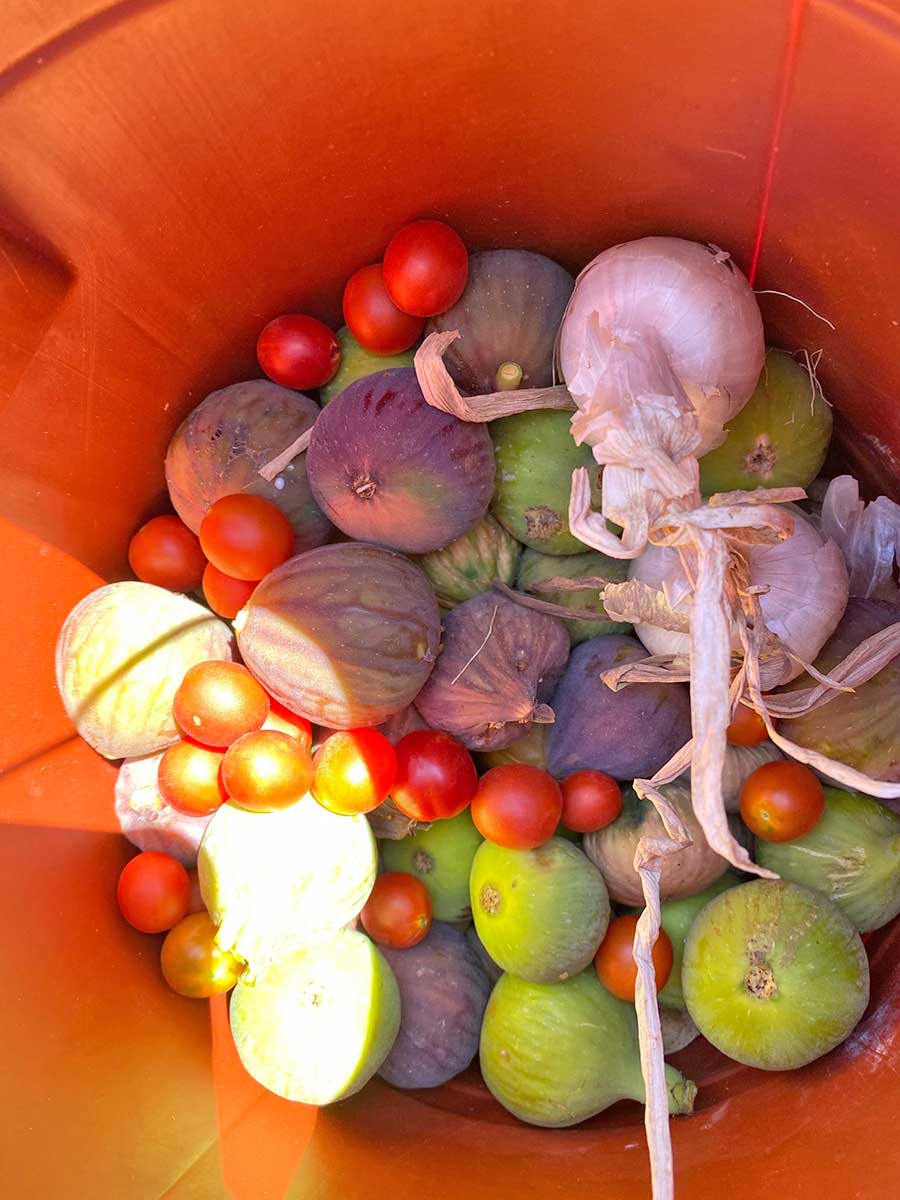 δοχείο με σύκα, ντομάτες και κρεμύδια