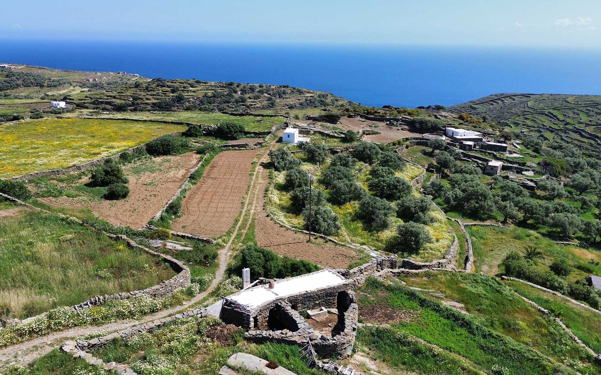 η φάρμα στη Σίφνο